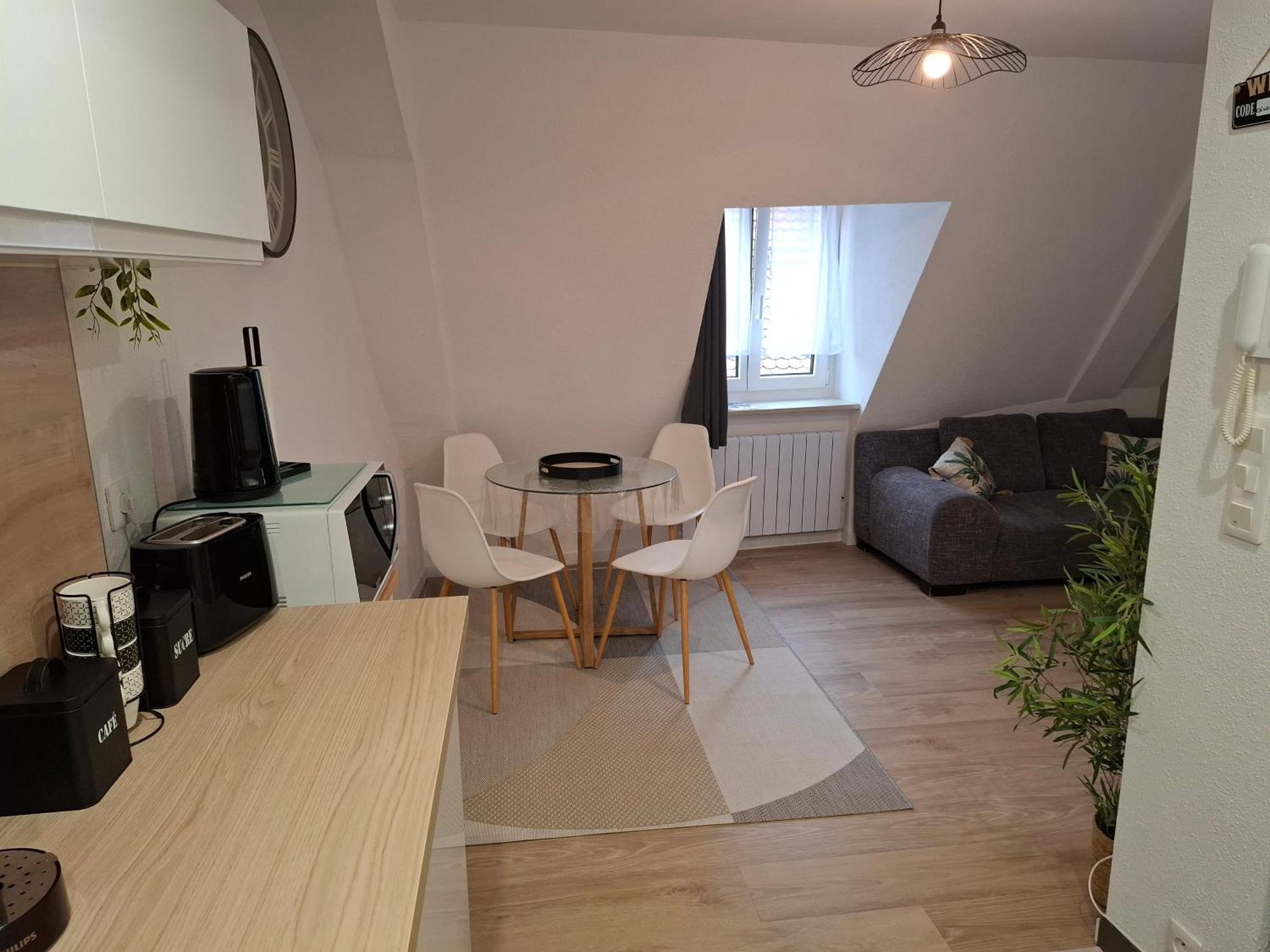 Bel Appartement, Selestat Sélestat Exterior foto